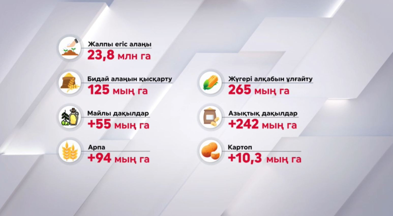 Биылғы егіс науқанында өнімділігі жоғары дақылдар алқабы ұлғаяды