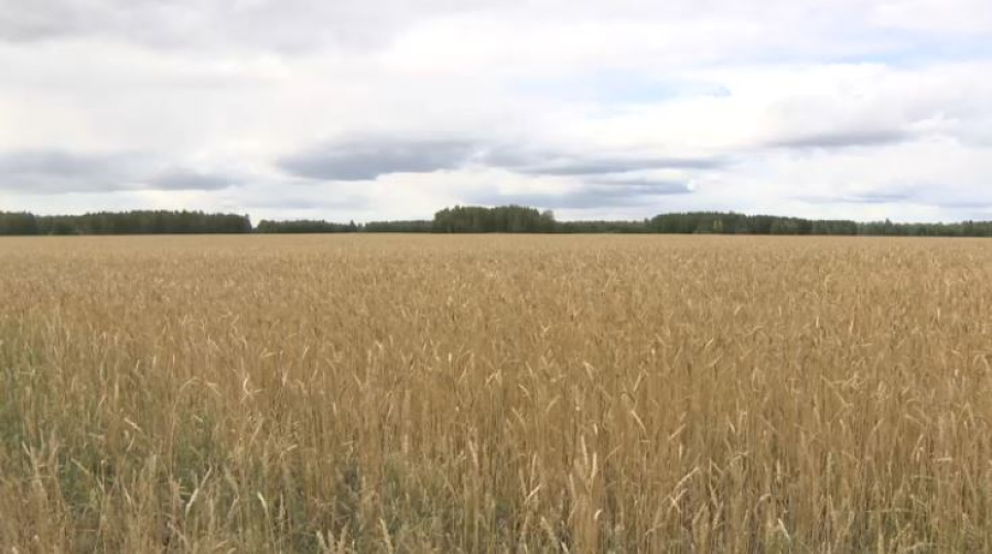 Агроөнеркәсіп өнімі 1,6 есе ұлғайды