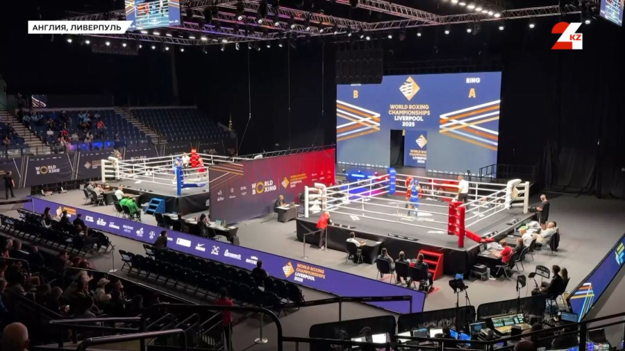 Бокстан әлем чемпионаты. Қанша алтын жеңіп аламыз? Тарихи жетістік қайталана ма?