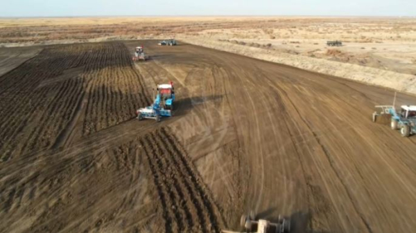 История рисоводства в Кызылординской области насчитывает более 100 лет