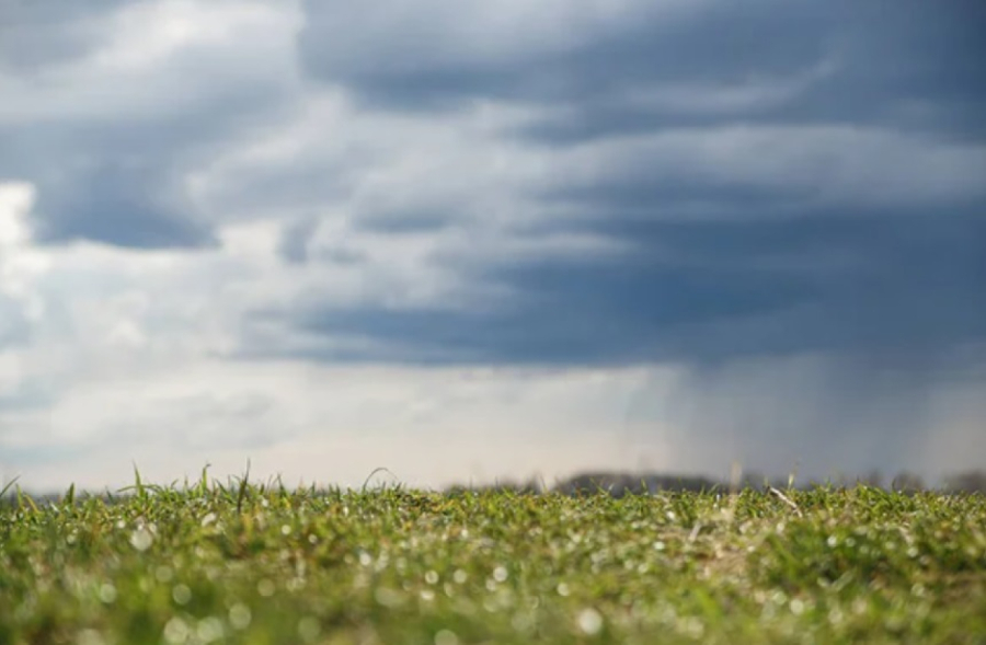 Какая погода ждет казахстанцев в ближайшие три дня