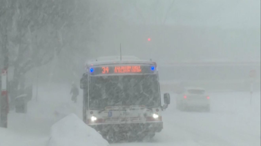 Канадада қарлы боран соқты