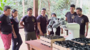 Тропические леса в Перу восстанавливают роботы