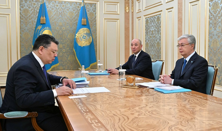 Глава государства принял вице-премьера Бозумбаева