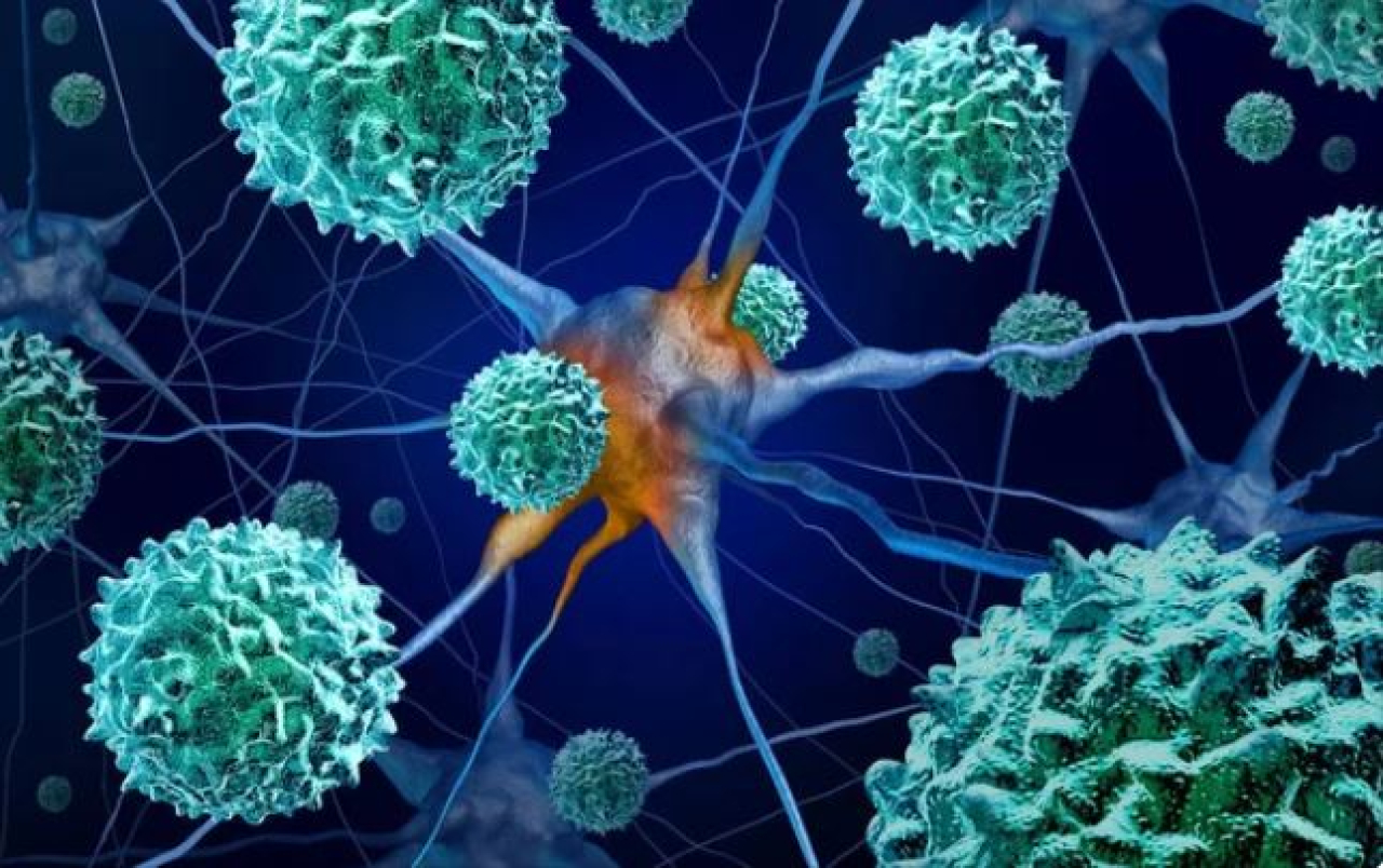 Энтеровирусная инфекция: меры профилактики