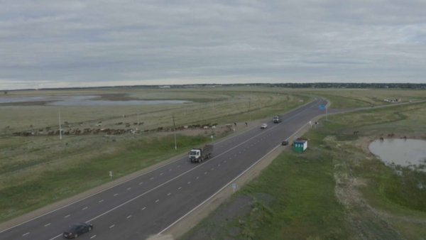 СҚО-да 900 шақырым жол жөнделеді