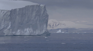 Антарктидадағы мұздың еруі алаңдатып отыр