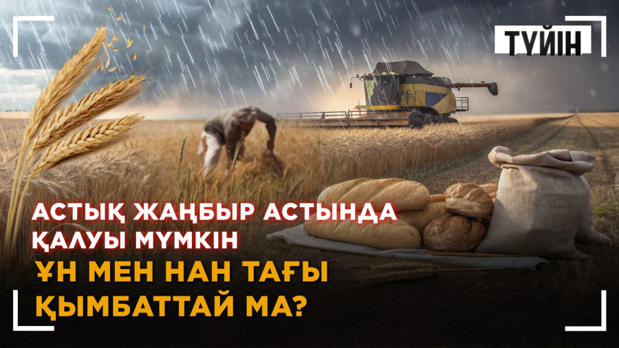 Бір ай жаңбыр жауады. Егін не болмақ?