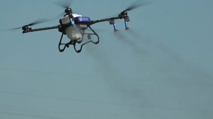 Агродроны впервые используют для борьбы с саранчой в ЗКО