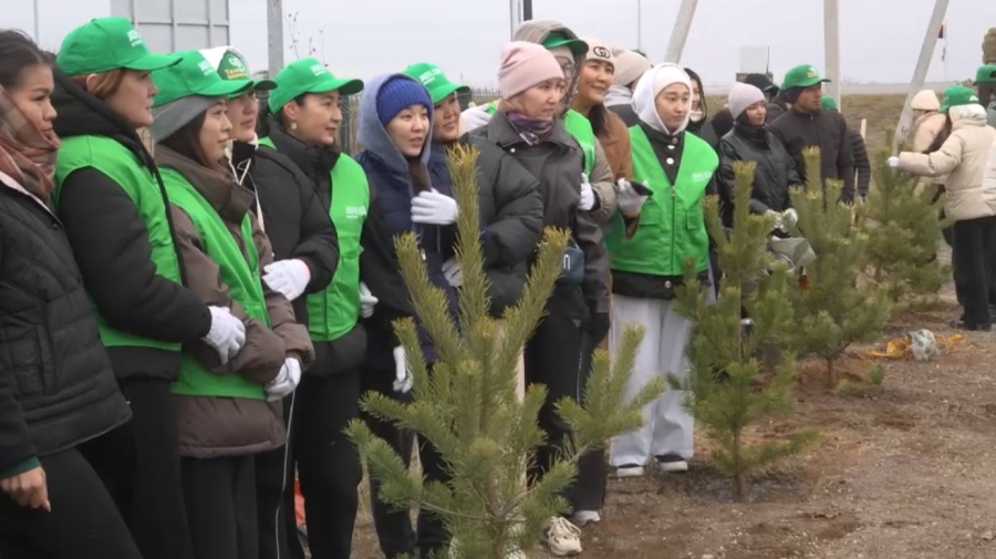 25 тысяч деревьев посадили акмолинцы