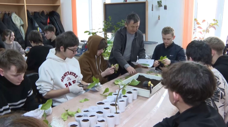 Школа экологии и туризма готовит специалистов лесного хозяйства