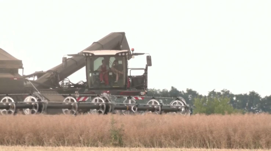 Әлемде ұнға сұраныс артты