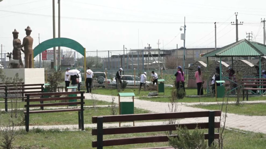 Студенты Туркестанской области участвуют в экоакции