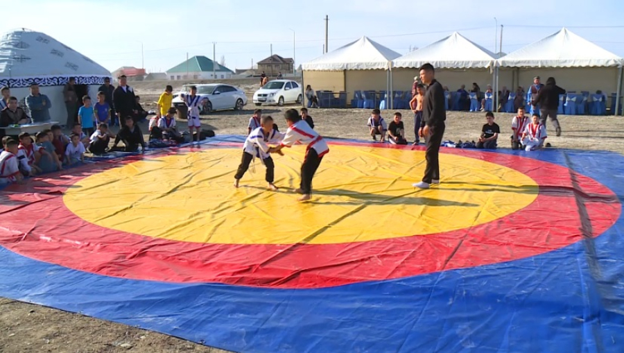 Национальными видами спорта занимаются 30 тысяч жителей Кызылординской области
