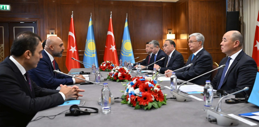 Мемлекет басшысы YDA Holding басқарма төрағасын қабылдады