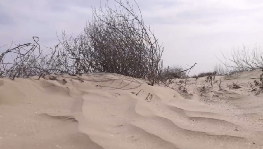 Причины участившихся пыльных бурь выясняют экологи