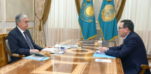 Глава государства принял акима Алматинской области