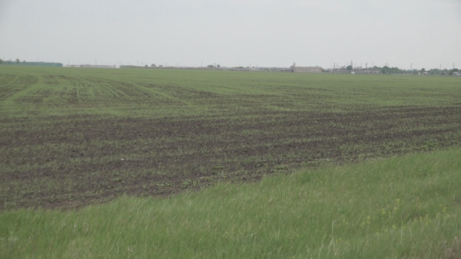 Жетісуда биыл 97 мың гектардан астам жер мемлекетке қайтарылды