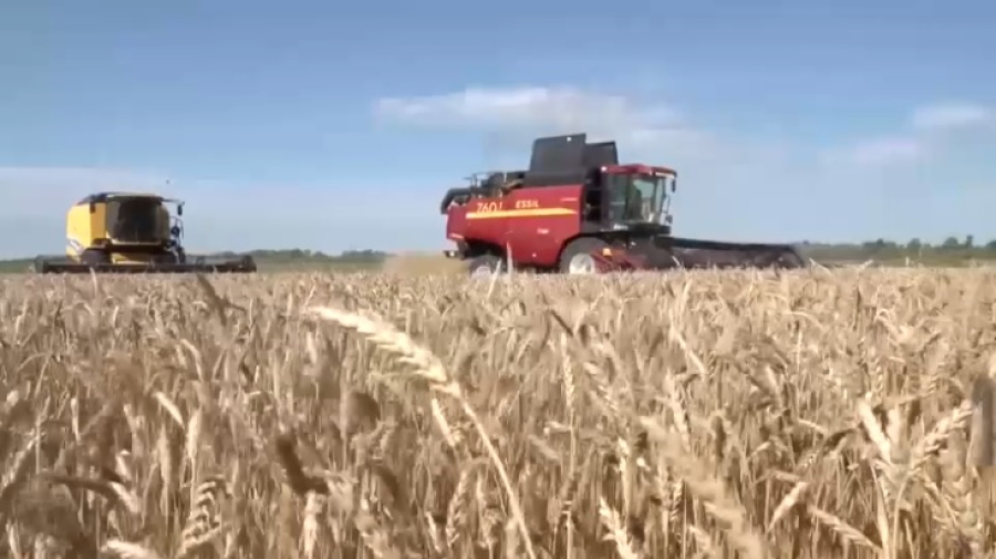 Более 13 млн тонн зерна перевезено за год