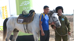 Конный марафон завершился в Туркестане