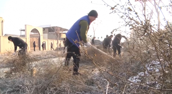 Жетісайда жалпықалалық экоакция өтті