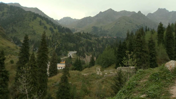 На леса приходится лишь 5% территории Казахстана