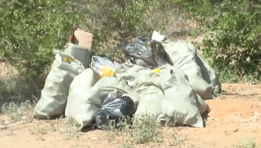 Жезқазғандық жастар жағажай аумағын тазалады