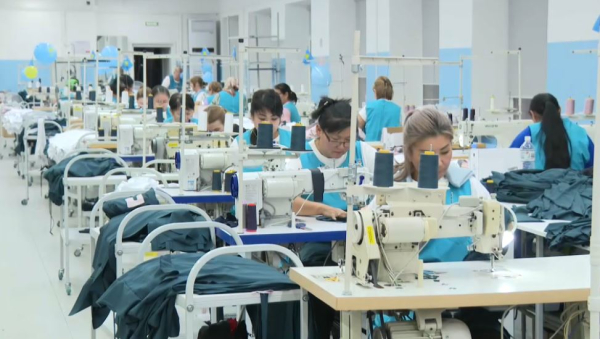 Людям с инвалидностью помогают найти работу в области Абай