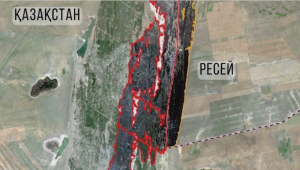 Последствия пожара в области Абай показали из космоса