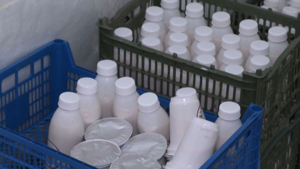 Тараз тұрғыны құрма қосылған сүт өндіреді