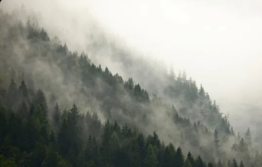 Туманы прогнозируют на большей части Казахстана