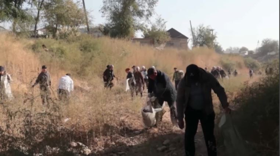 Түркістан облысында «Таза жағалау» акциясы өтті