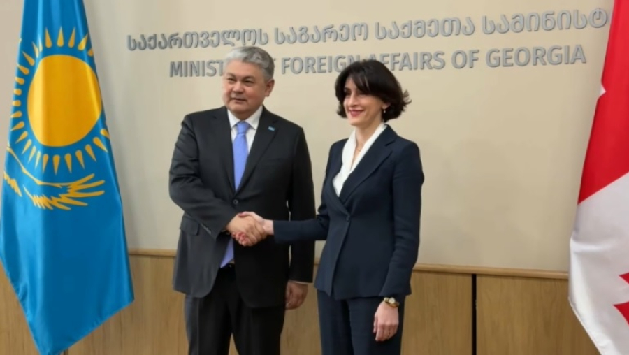 Глава МИД Казахстана посетил Грузию