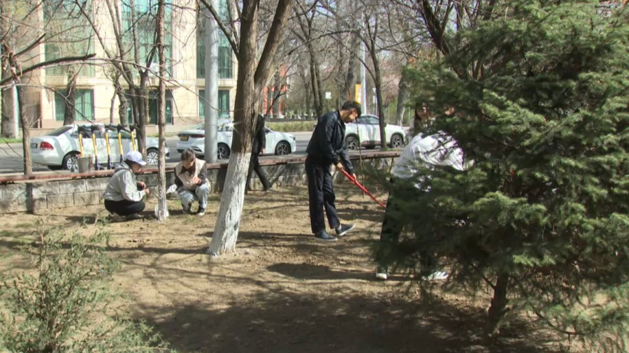 Студенты присоединились к экоакции «Таза бейсенбі»