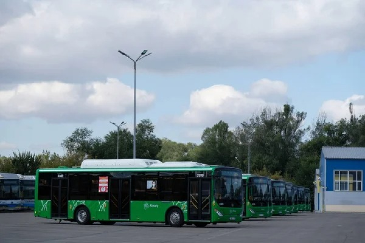 Әкім орынбасары мен тағы 9 шенеунік жазаланды
