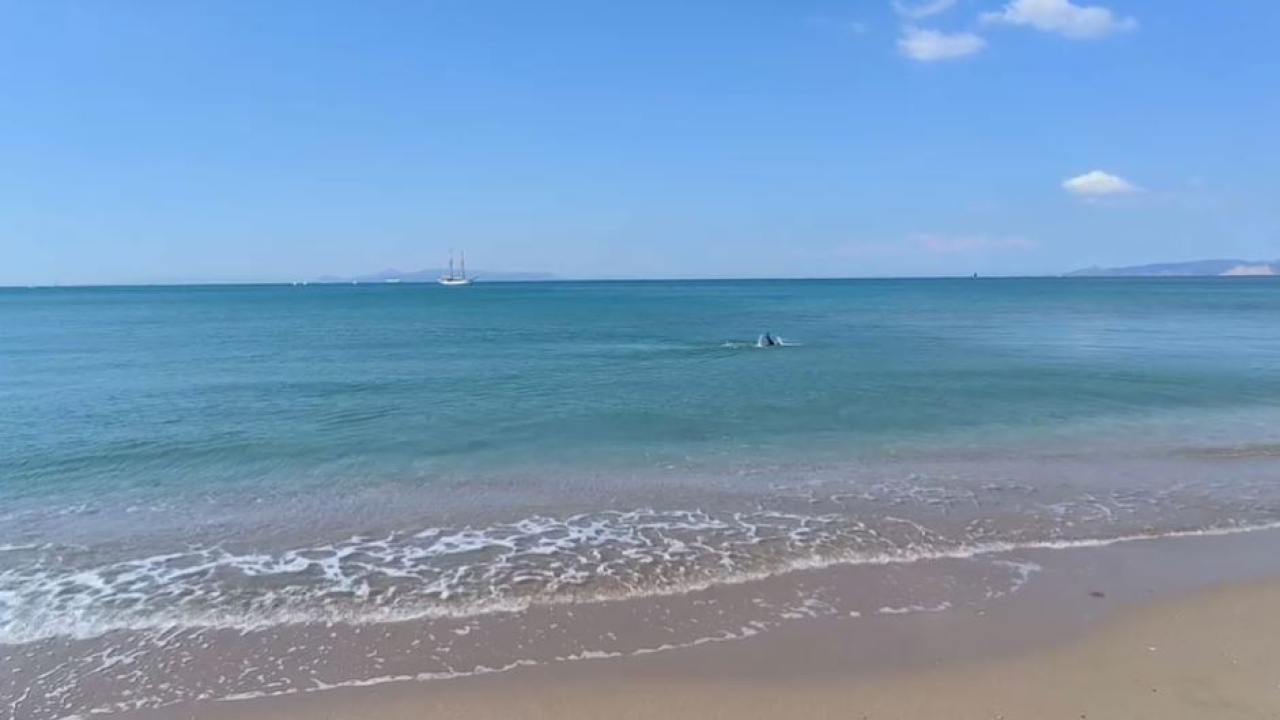 «Таза Қазақстан» поддержали в Греции