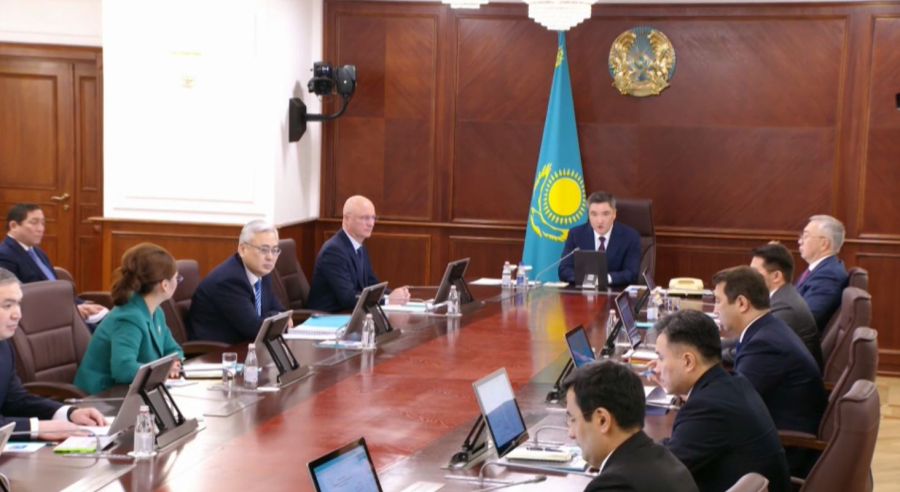 Үкімет экономиканы әртараптандырудың тәсілдерін қарады