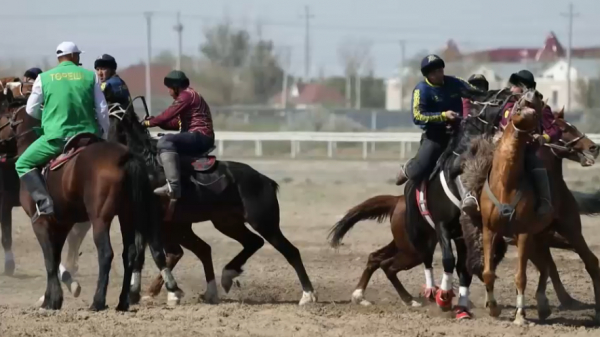 Көкпардан ел чемпионы анықталды