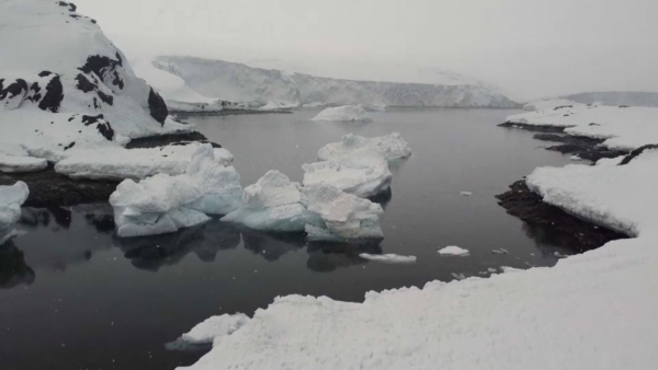Антарктидада микропластиктердің бар-жоғы зерттеліп жатыр