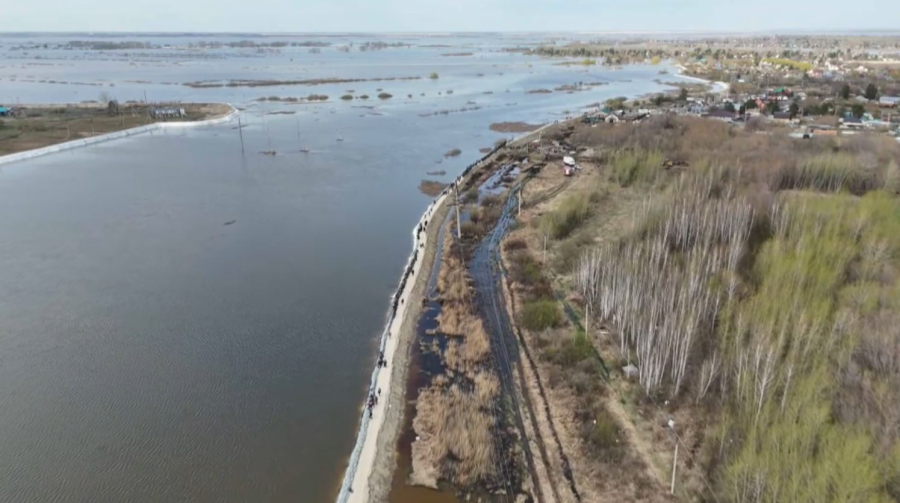 Дамбу против паводковых вод укрепляют в Кызылжарском районе