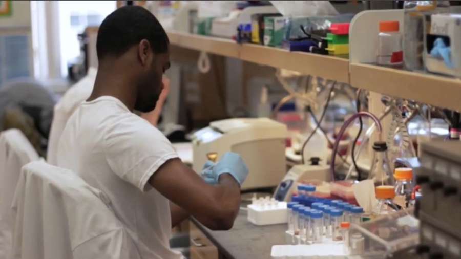 Тері обырының алдын алуға жасанды интеллект көмектеседі