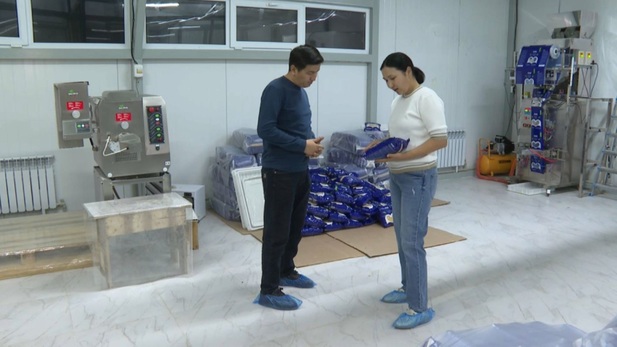 Жамбыл облысында 9 мың тұрғын кәсіп ашты