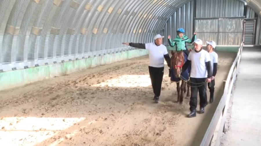 Количество центров иппотерапии увеличивается в Жетысу