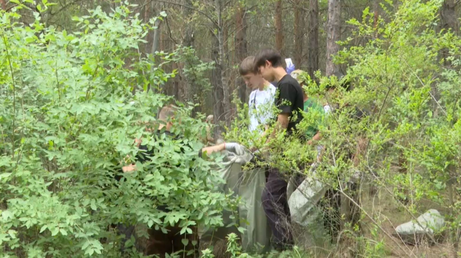 Более сотни волонтеров очистили лес вблизи Шахтинска от мусора