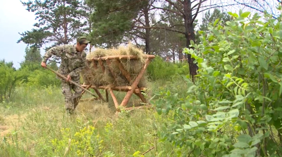 Өрт қаупі жоғары кезеңде орманда демалуға тыйым салынады