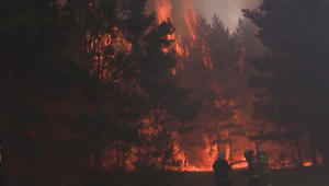 Пожар в Абайской области: более 800 человек эвакуировали
