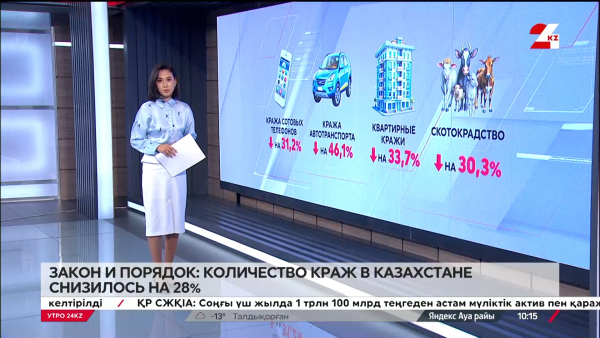 Закон и порядок: количество краж в Казахстане снизилось на 28%