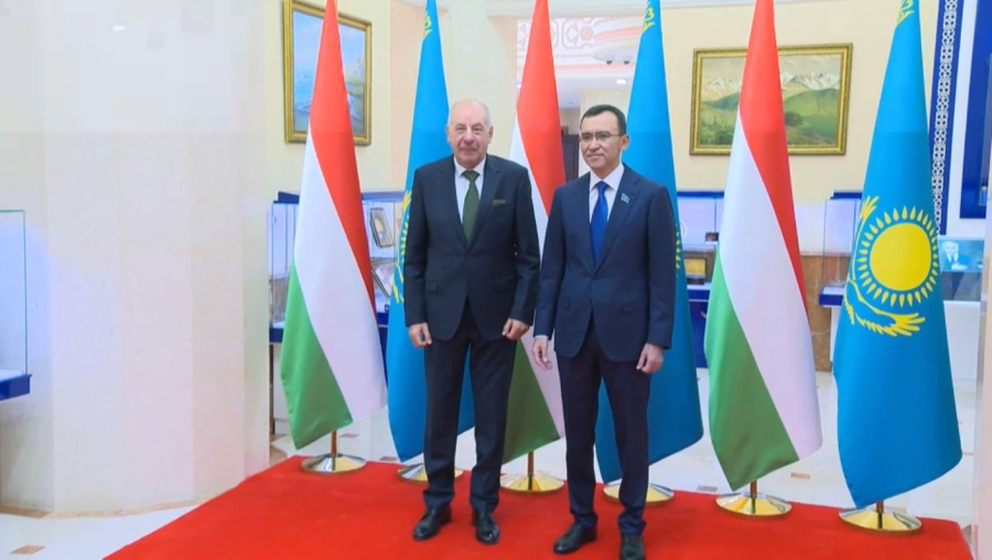 Мәулен Әшімбаев Мажарстан Президентімен кездесті