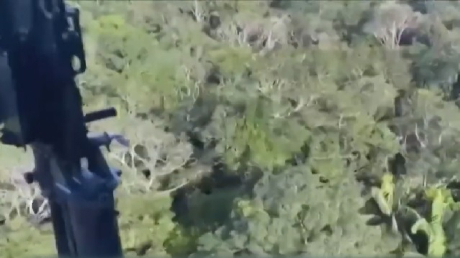 В джунглях Колумбии нашли живыми 4 детей с разбившегося самолета