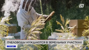 О проблемах пчеловодов Казахстана | Курс дня